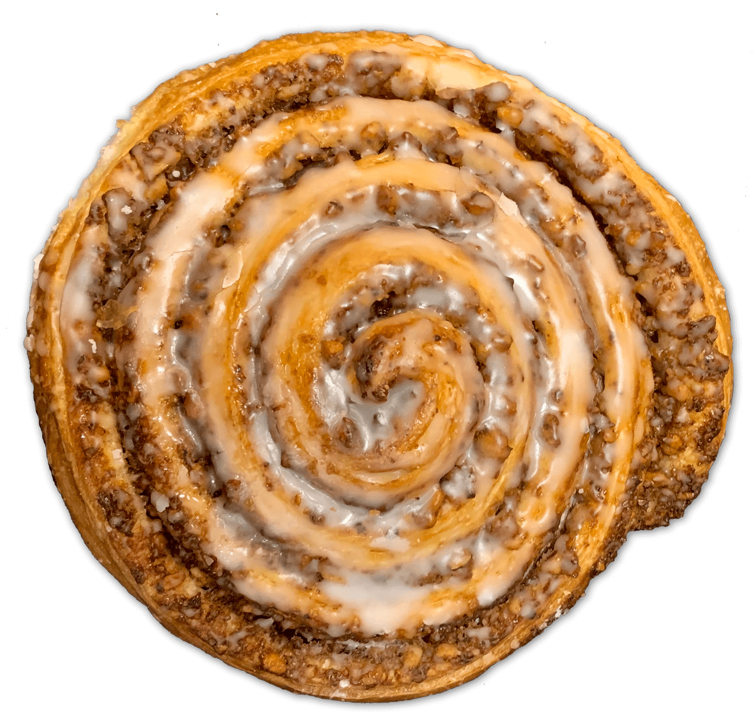 Nussschnecke