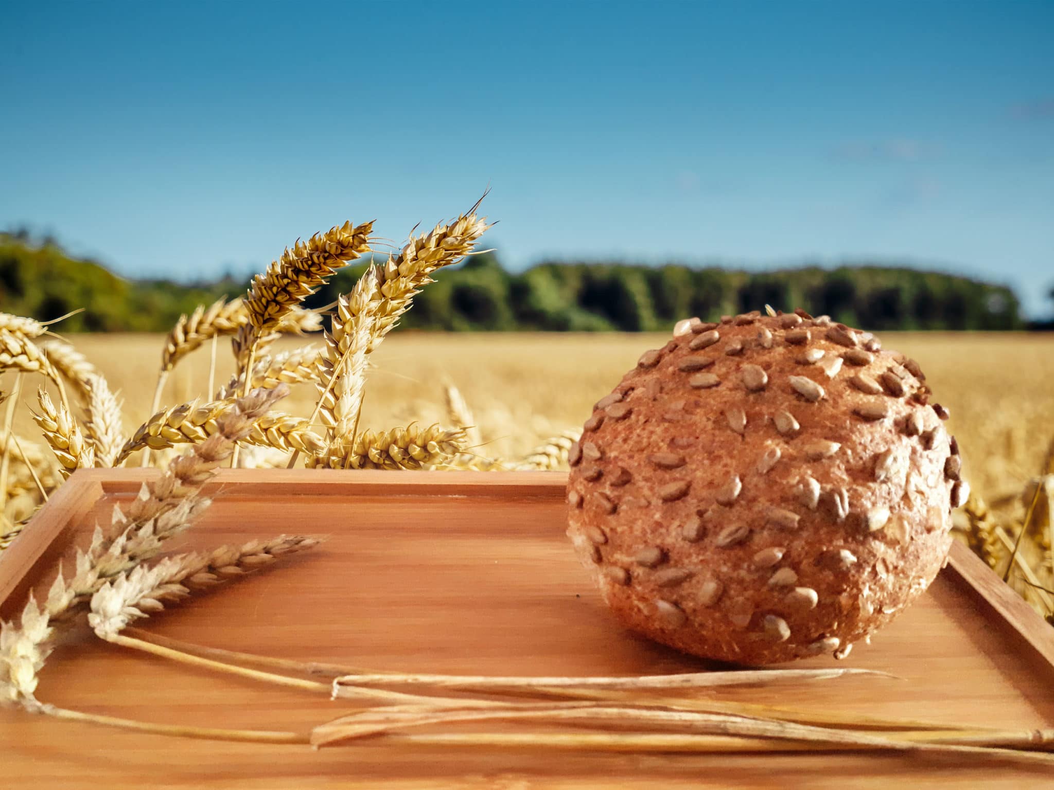 Vollkorn-Sonnenblumen-Semmel - Rennsemmel Pilz
